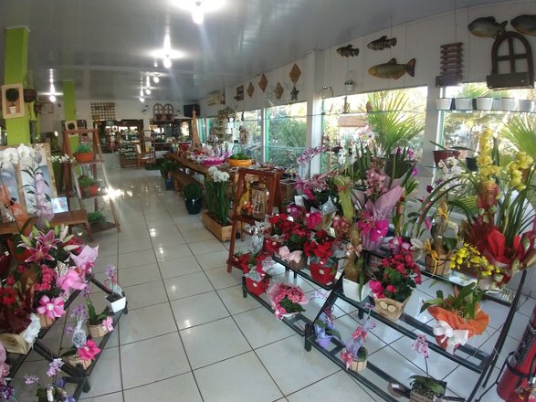 Floricultura Verde Flora - endereço, 🛒 comentários de clientes, horário de  funcionamento e número de telefone - Lojas em Três Lagoas - Nicelocal.br.com