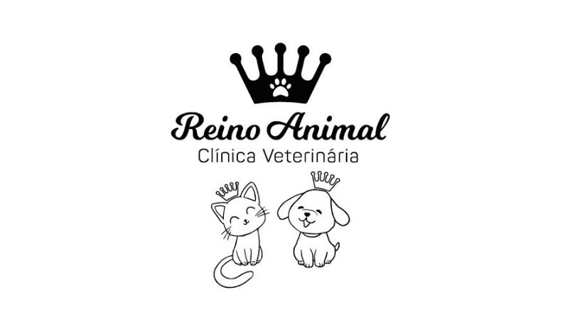 Clínica Veterinária Reino Animal - comentários, fotos, número de telefone e  endereço - Hospitais veterinários em Rio Branco 